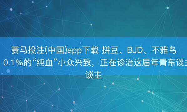赛马投注(中国)app下载 拼豆、BJD、不雅鸟:0.1%的“纯血”小众兴致,正在诊治这届年青东谈主