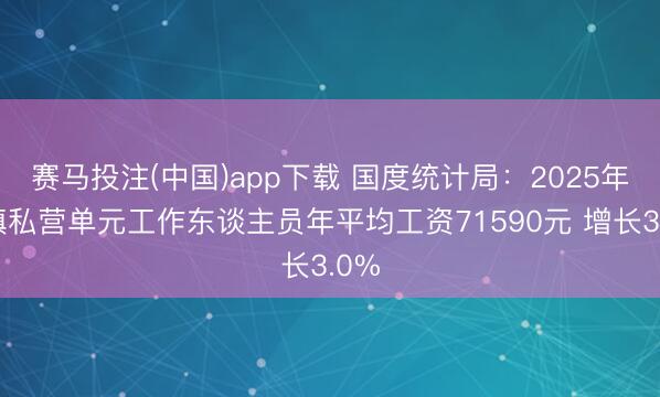 赛马投注(中国)app下载 国度统计局：2025年城镇私营单元工作东谈主员年平均工资71590元 增长3.0%