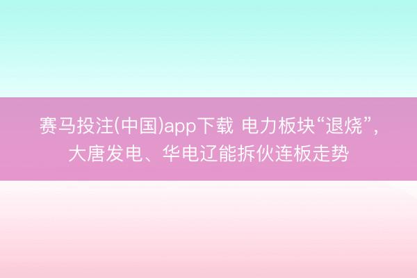 赛马投注(中国)app下载 电力板块“退烧”，大唐发电、华电辽能拆伙连板走势