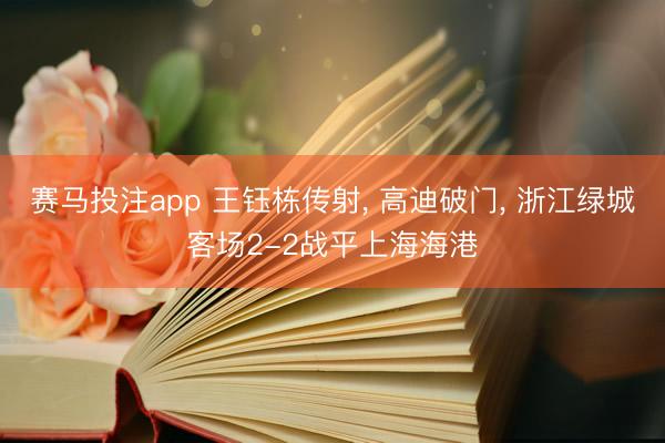 赛马投注app 王钰栋传射, 高迪破门, 浙江绿城客场2-2战平上海海港