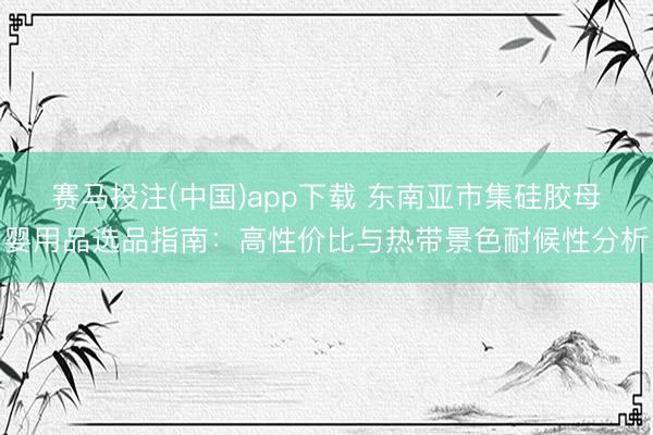 赛马投注(中国)app下载 东南亚市集硅胶母婴用品选品指南:高性价比与热带景色耐候性分析