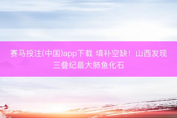 赛马投注(中国)app下载 填补空缺！山西发现三叠纪最大肺鱼化石