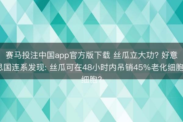 赛马投注中国app官方版下载 丝瓜立大功? 好意思国连系发现: 丝瓜可在48小时内吊销45%老化细胞?