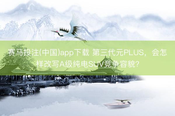 赛马投注(中国)app下载 第三代元PLUS，会怎样改写A级纯电SUV竞争容貌？