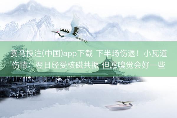 赛马投注(中国)app下载 下半场伤退！小瓦道伤情：翌日经受核磁共振 但愿嗅觉会好一些