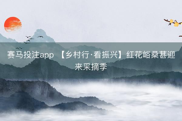 赛马投注app 【乡村行·看振兴】红花峪桑葚迎来采摘季