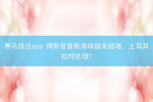 赛马投注app 博斯普鲁斯海峡越来越堵，土耳其如何处理？