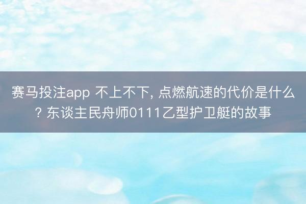 赛马投注app 不上不下， 点燃航速的代价是什么? 东谈主民舟师0111乙型护卫艇的故事