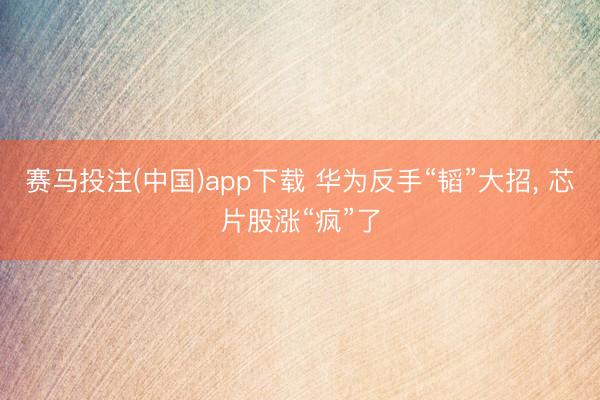 赛马投注(中国)app下载 华为反手“韬”大招, 芯片股涨“疯”了