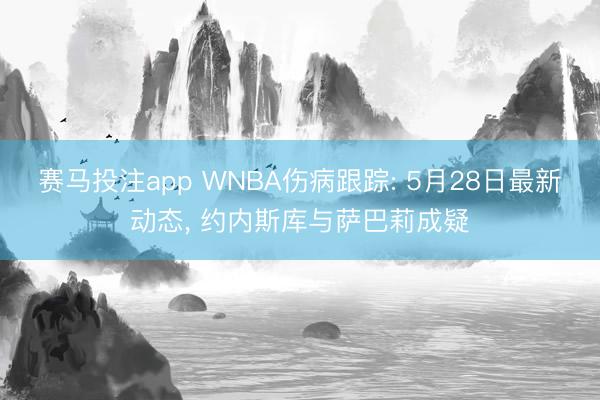 赛马投注app WNBA伤病跟踪: 5月28日最新动态， 约内斯库与萨巴莉成疑