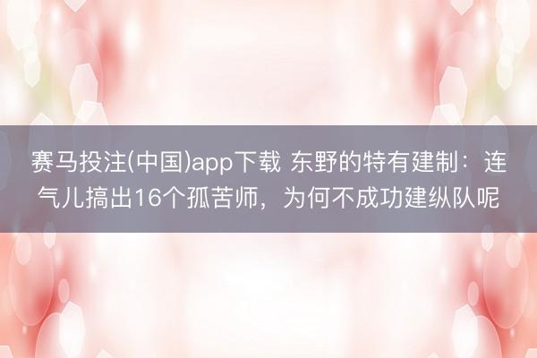 赛马投注(中国)app下载 东野的特有建制：连气儿搞出16个孤苦师，为何不成功建纵队呢