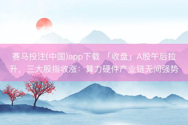 赛马投注(中国)app下载 「收盘」A股午后拉升，三大股指收涨：算力硬件产业链无间强势