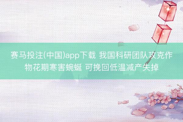 赛马投注(中国)app下载 我国科研团队攻克作物花期寒害蜿蜒 可挽回低温减产失掉