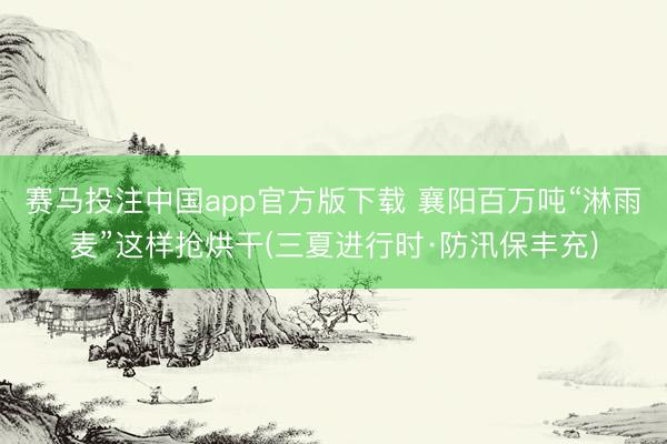 赛马投注中国app官方版下载 襄阳百万吨“淋雨麦”这样抢烘干(三夏进行时·防汛保丰充)