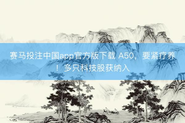 赛马投注中国app官方版下载 A50，要紧疗养！多只科技股获纳入