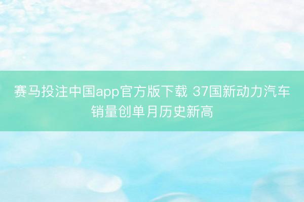 赛马投注中国app官方版下载 37国新动力汽车销量创单月历史新高
