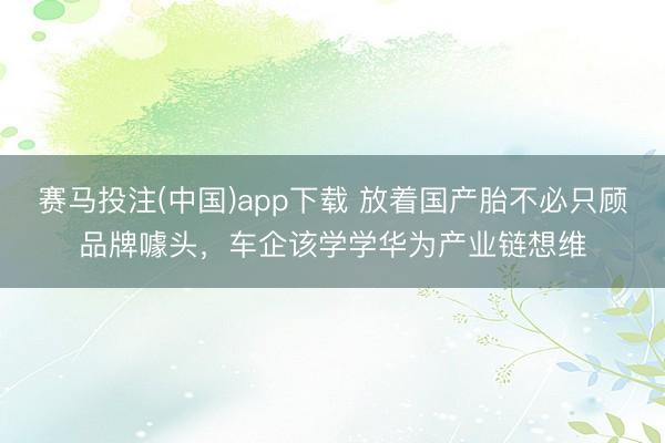 赛马投注(中国)app下载 放着国产胎不必只顾品牌噱头，车企该学学华为产业链想维