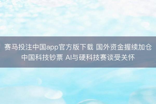 赛马投注中国app官方版下载 国外资金握续加仓中国科技钞票 AI与硬科技赛谈受关怀