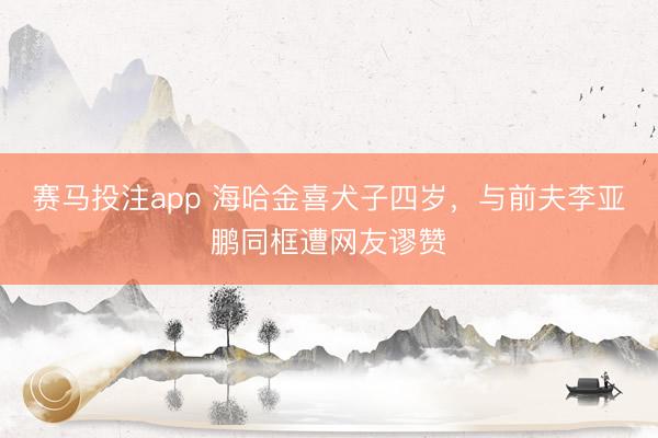 赛马投注app 海哈金喜犬子四岁，与前夫李亚鹏同框遭网友谬赞