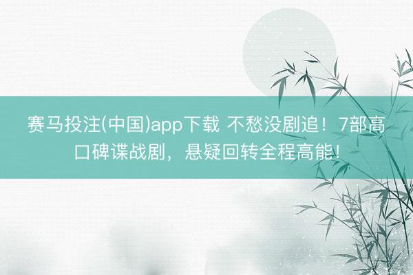 赛马投注(中国)app下载 不愁没剧追！7部高口碑谍战剧，悬疑回转全程高能！