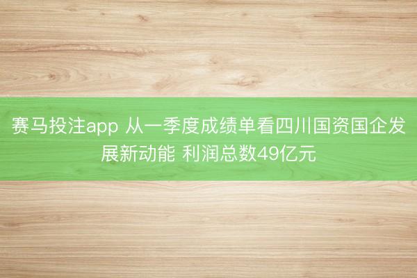 赛马投注app 从一季度成绩单看四川国资国企发展新动能 利润总数49亿元