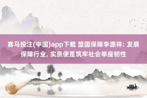 赛马投注(中国)app下载 盟国保障李源祥: 发展保障行业， 实质便是筑牢社会举座韧性