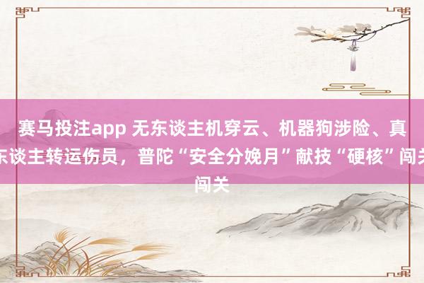 赛马投注app 无东谈主机穿云、机器狗涉险、真东谈主转运伤员，普陀“安全分娩月”献技“硬核”闯关